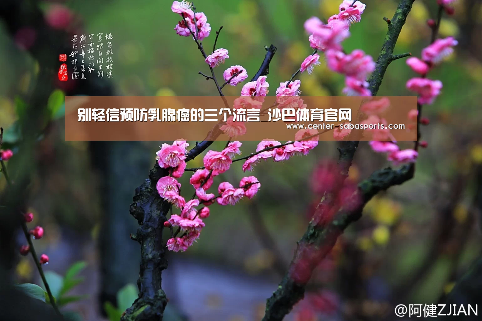 沙巴体育