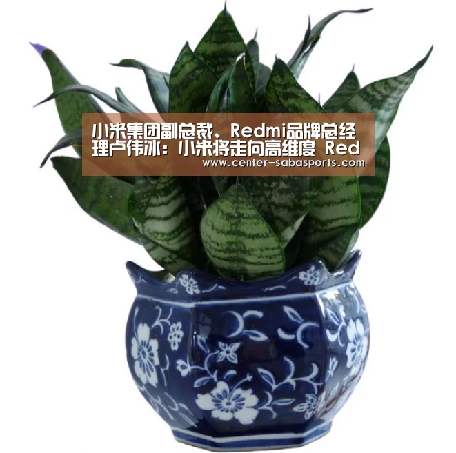 沙巴体育平台