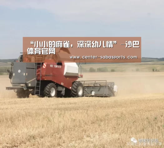 “小小的麻雀,深深幼儿情”-沙巴体育官网(图4) 沙巴