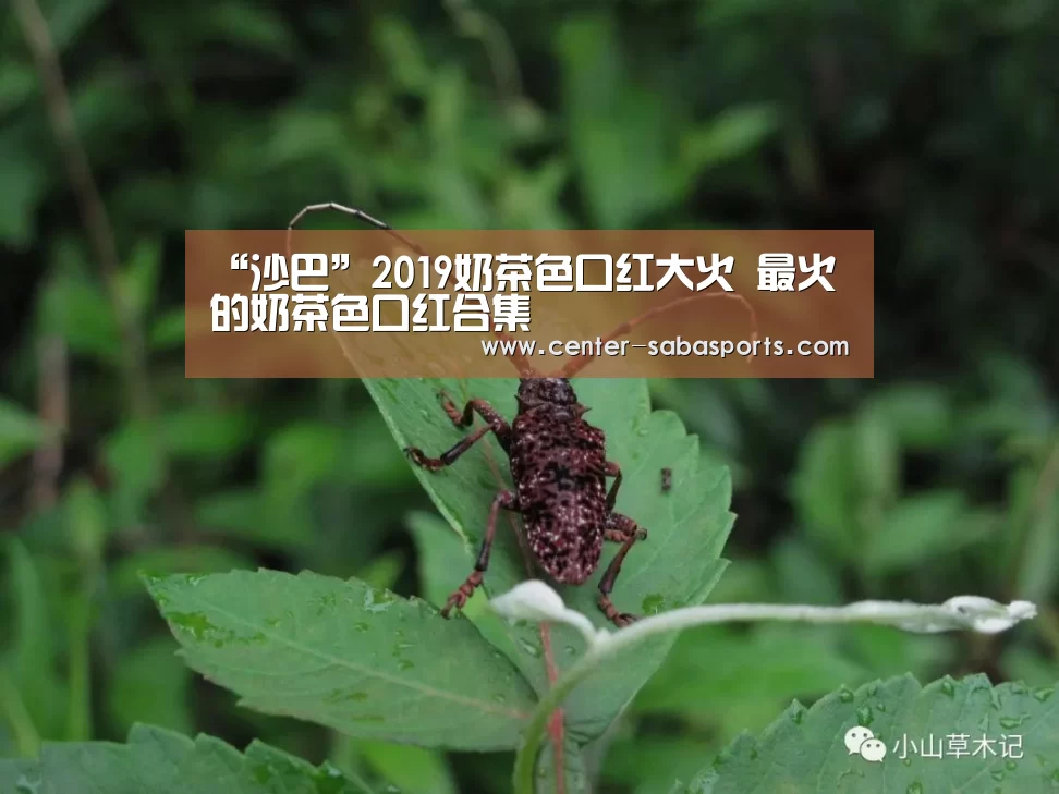 沙巴